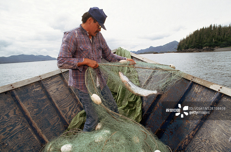 阿留申渔民将刺网拉到船上图片素材