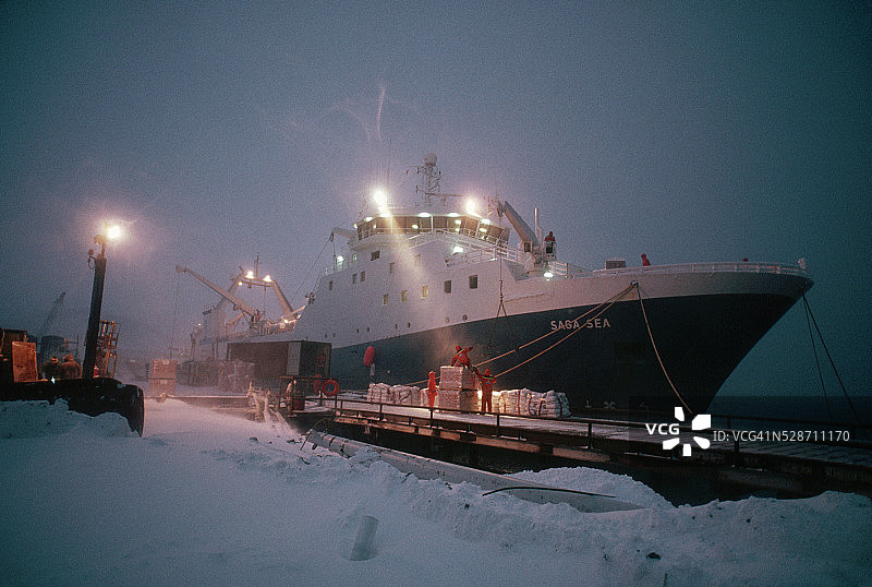 船员从拖网渔船上卸载狭鳕鱼图片素材