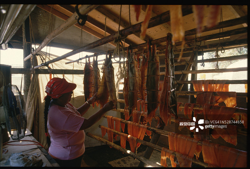 雅基马印第安妇女晒鲑鱼图片素材