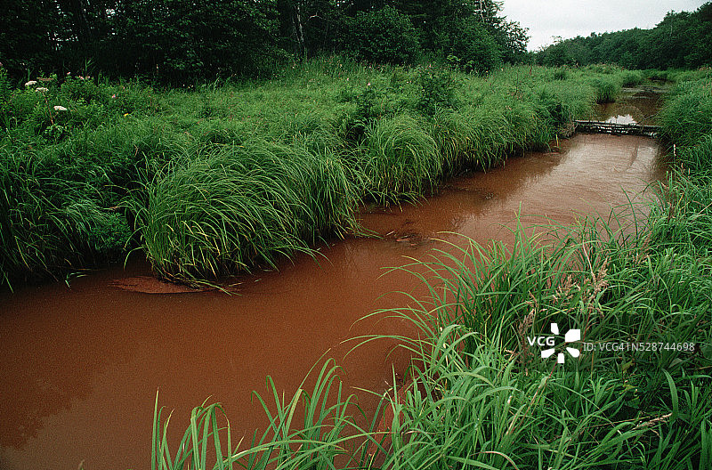 波罗奈斯克附近的受污染的俄罗斯河流图片素材