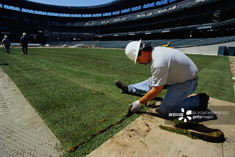 在西费科球场铺设草皮图片素材