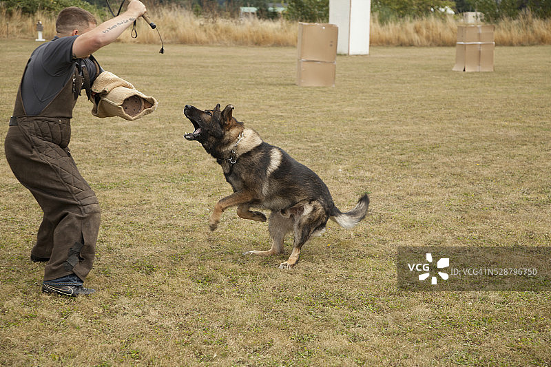 看门狗训练图片素材