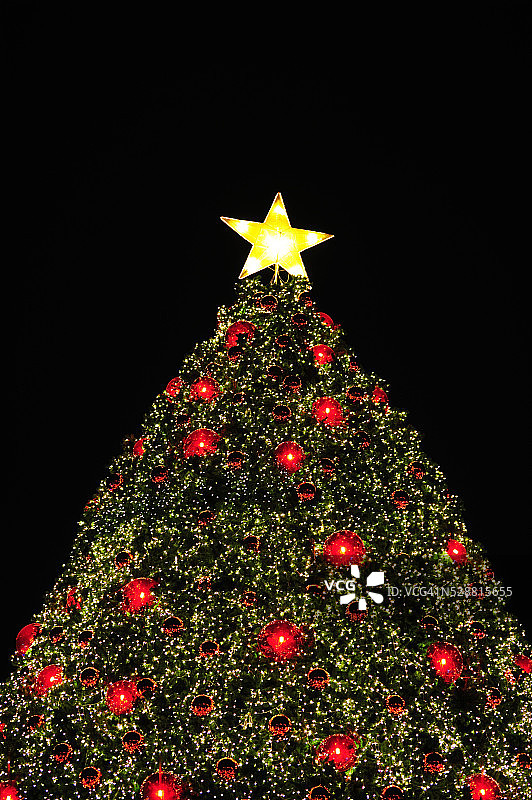 圣诞树图片素材