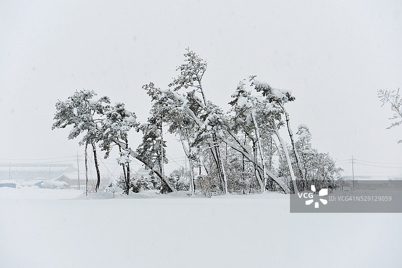 强暴风雪图片素材