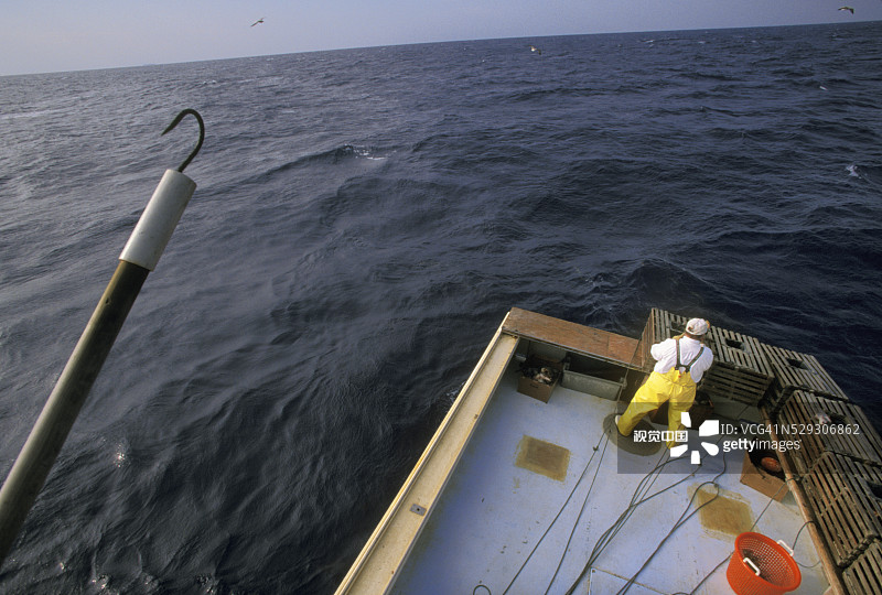拉哥岛附近的龙虾捕捞图片素材