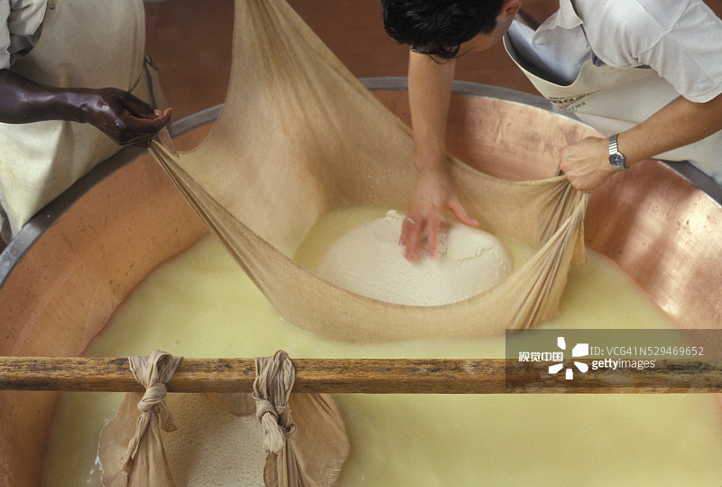 奶酪测试图片素材