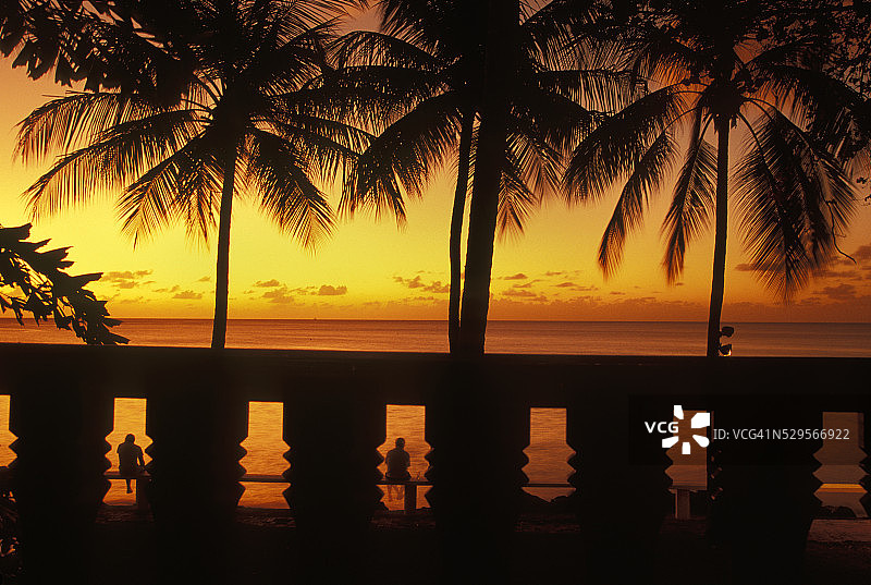巴巴多斯日落图片素材