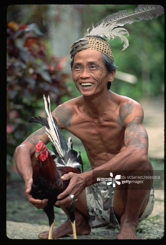 手持公鸡的伊班族战士图片素材