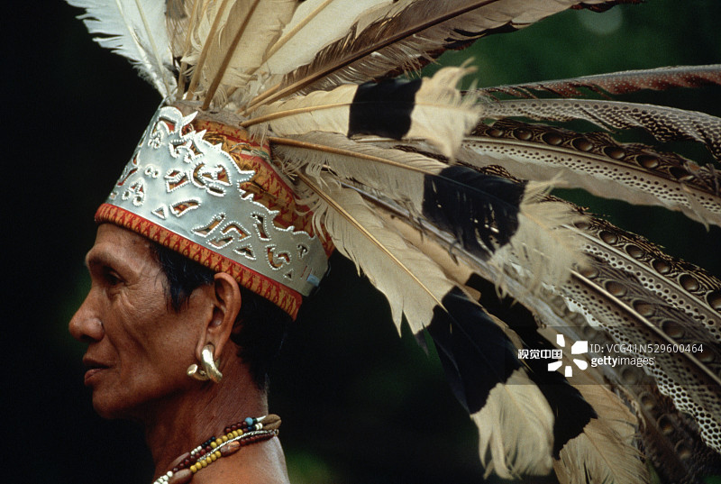 戴着羽毛头饰的伊班族战士图片素材