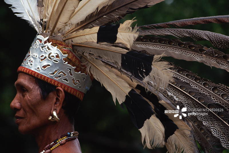 戴着羽毛头饰的伊班族战士图片素材