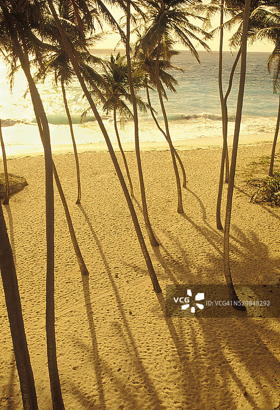 海湾底部海滩图片素材