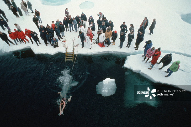 北极游泳图片素材