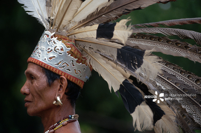 戴羽毛头饰的伊班族战士侧面照图片素材