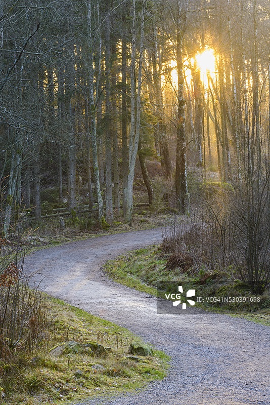 瑞典瓦斯特哥特兰省莫尔达尔的日落森林小路图片素材