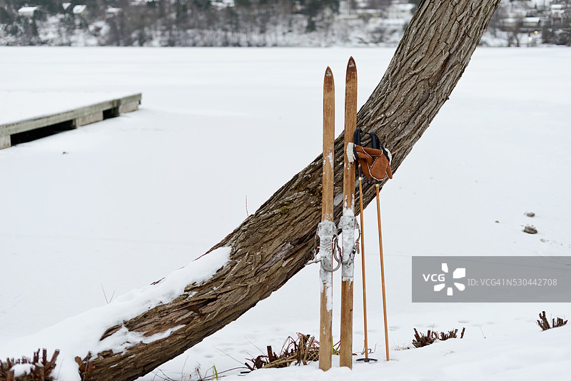 滑雪板靠在树干上，瑞典纳卡图片素材