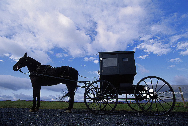路边的马车图片素材