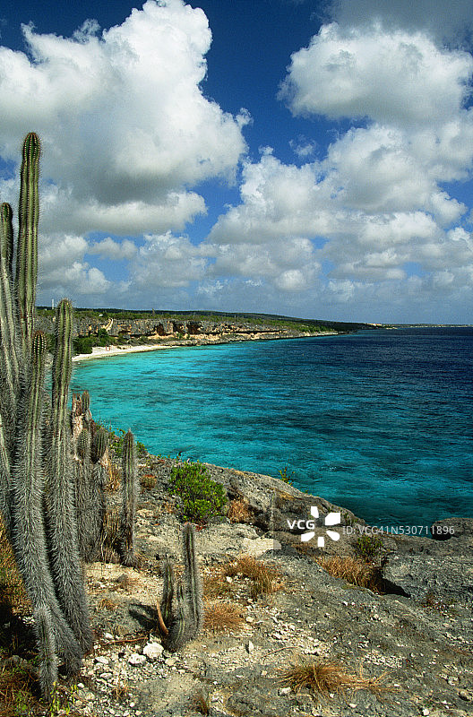 博内尔湾海岸线图片素材