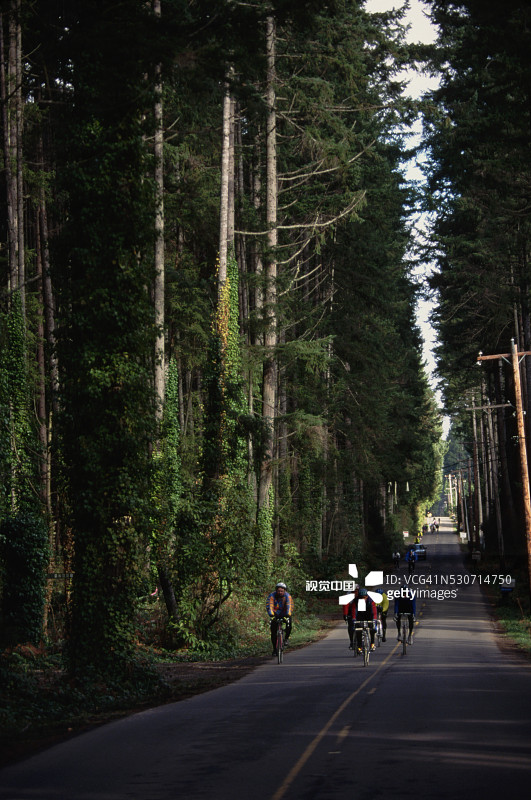 在林间道路上骑自行车的骑行者图片素材