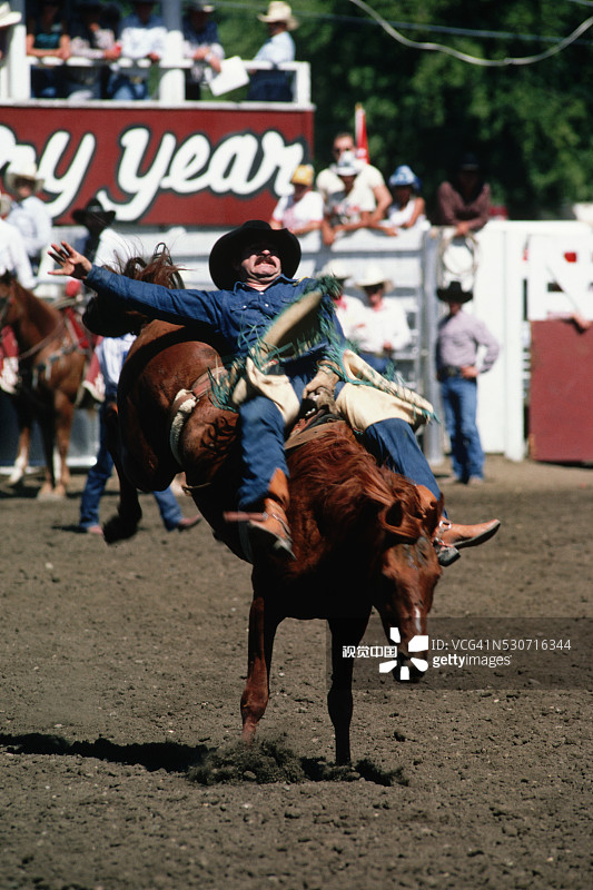 牛仔在竞技表演中骑着烈马图片素材