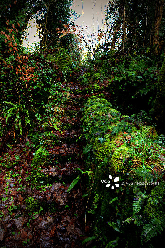 隐藏的楼梯图片素材