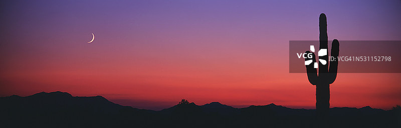 科法野生动物保护区内的仙人掌与新月图片素材