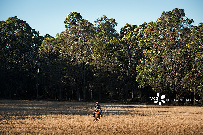 牧场主在田野里骑马图片素材