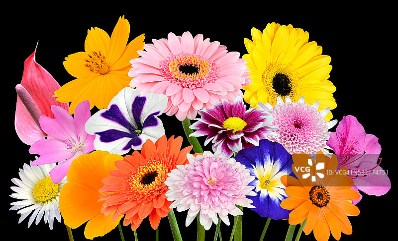各色鲜花花束系列图片素材