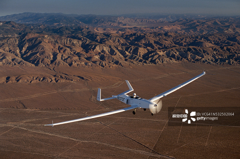 飞行中的猛禽图片素材