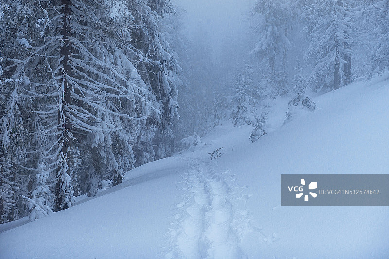 神奇的冬景图片素材