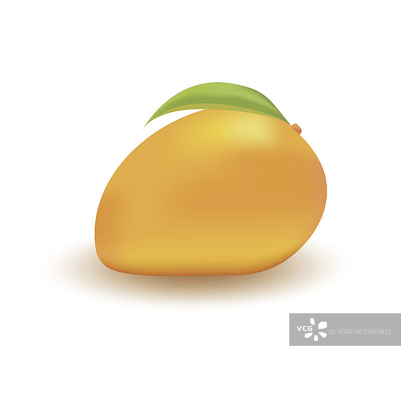 白色背景上的芒果图片素材