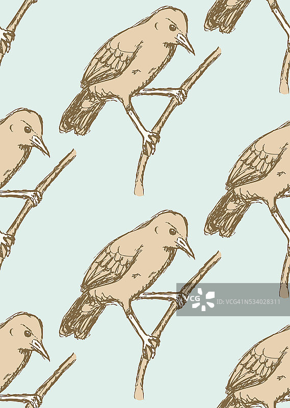 复古风格的棕灶鸟素描图片素材