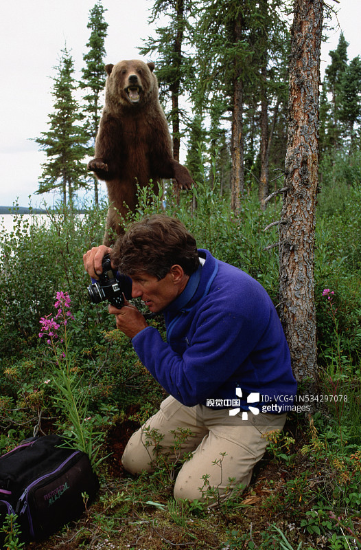 灰熊与摄影师图片素材