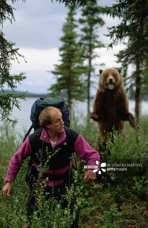徒步者逃离灰熊图片素材