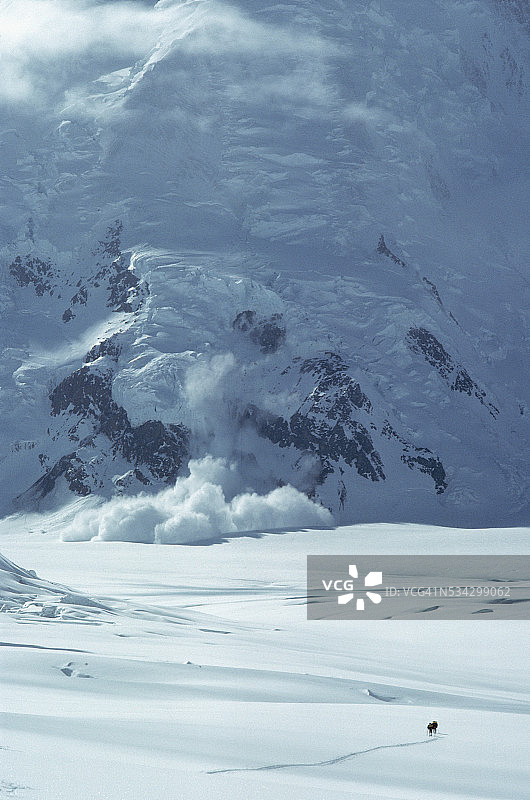 德纳里山上的雪崩图片素材