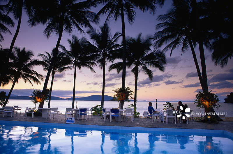 游泳池周围的棕榈树图片素材