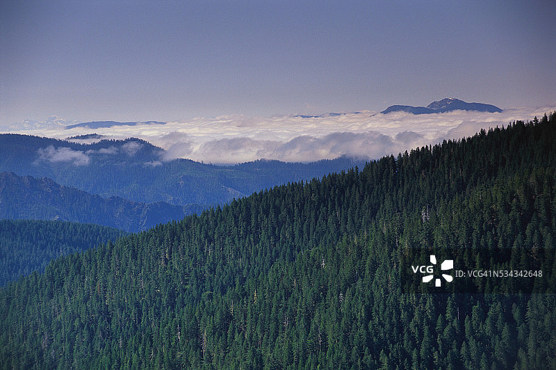 克拉马斯国家森林图片素材