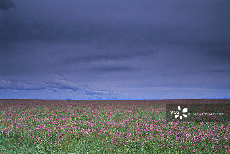 盘旋在草原上空的暴风云图片素材