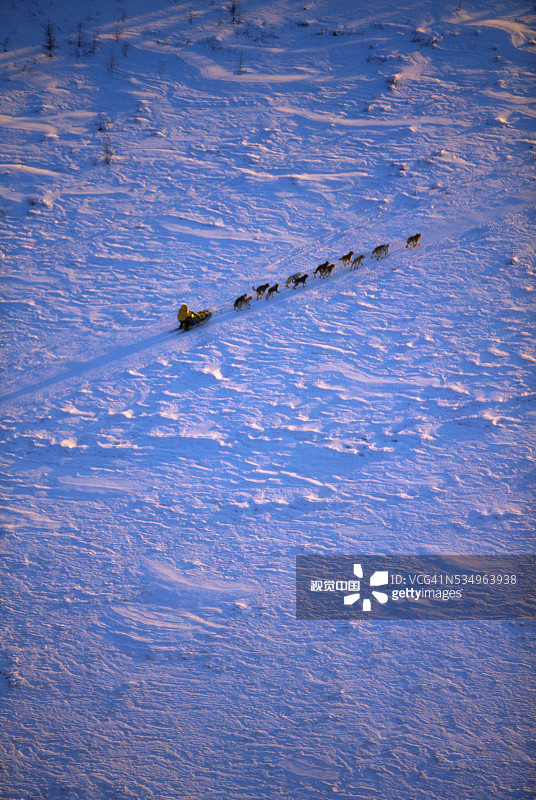 库斯科奎姆河上的雪橇犬队图片素材
