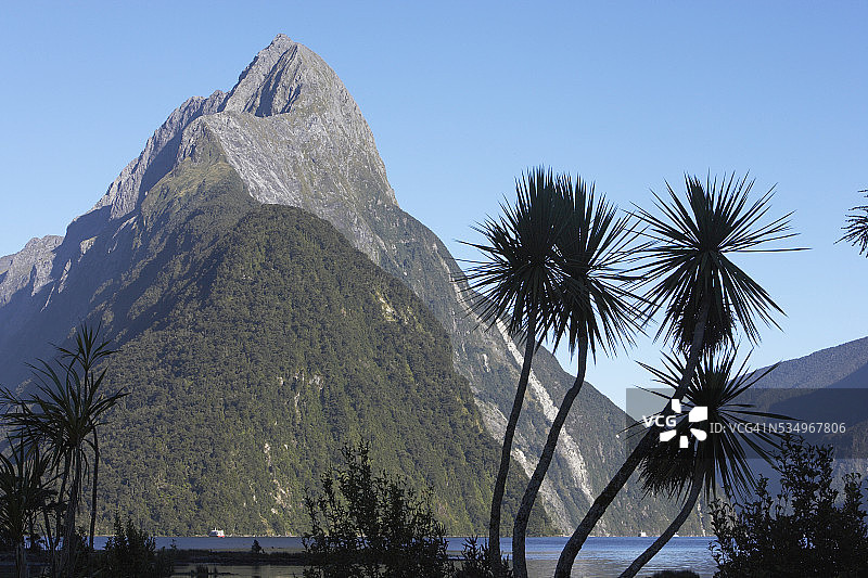 峡湾沿岸山脉和棕榈树图片素材