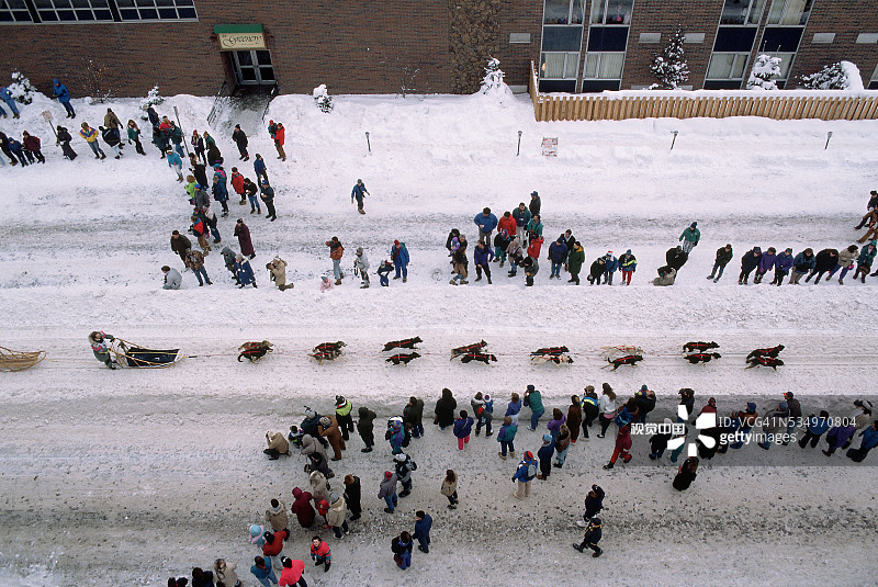 雪橇犬队参加艾迪塔罗德比赛图片素材
