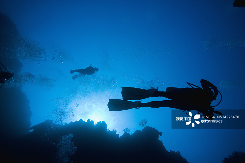 在珊瑚礁附近游泳的潜水员图片素材