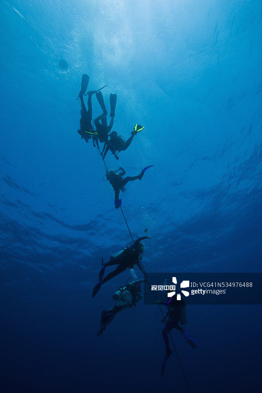 潜水员沿潜水绳下潜图片素材