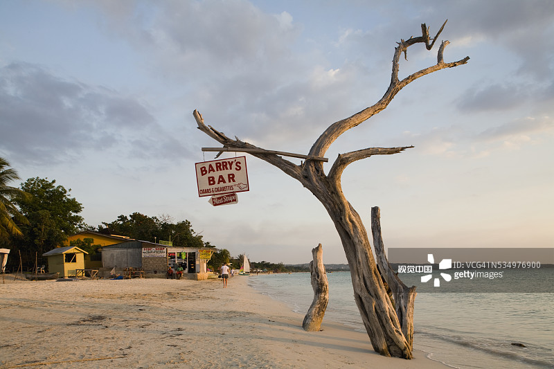 海滩上挂在枯树上的标志图片素材