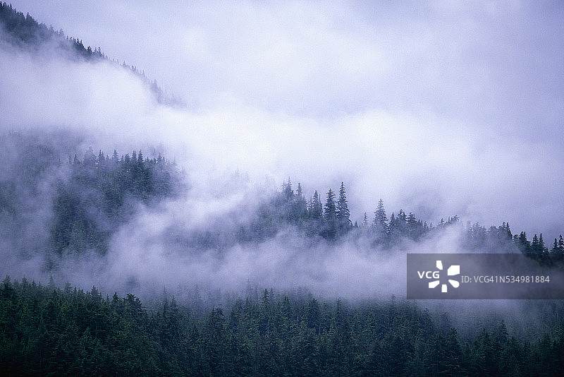 阿德米勒尔蒂岛汤加斯国家森林的雾图片素材