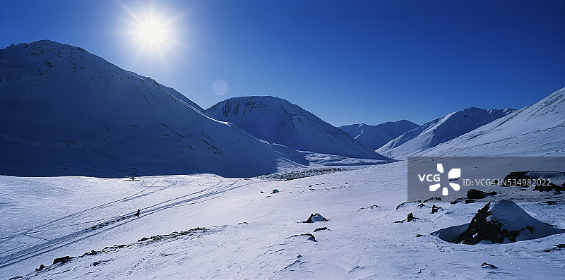 雨中通道中的艾迪塔罗德雪橇犬赛手图片素材