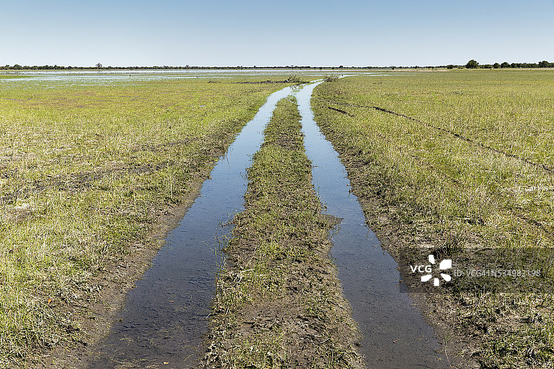 博茨瓦纳的泥泞狩猎足迹图片素材