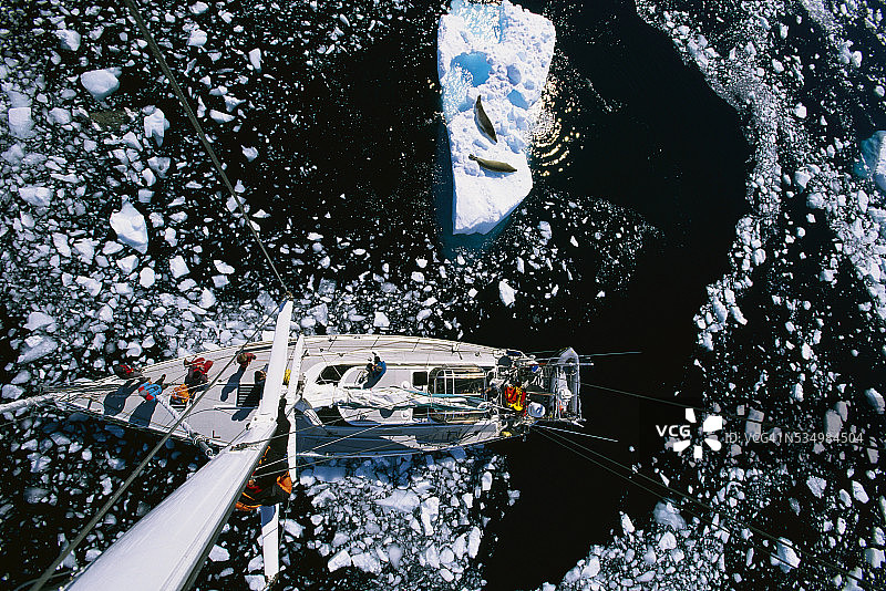 食蟹海豹旁的冰山上的帆船图片素材