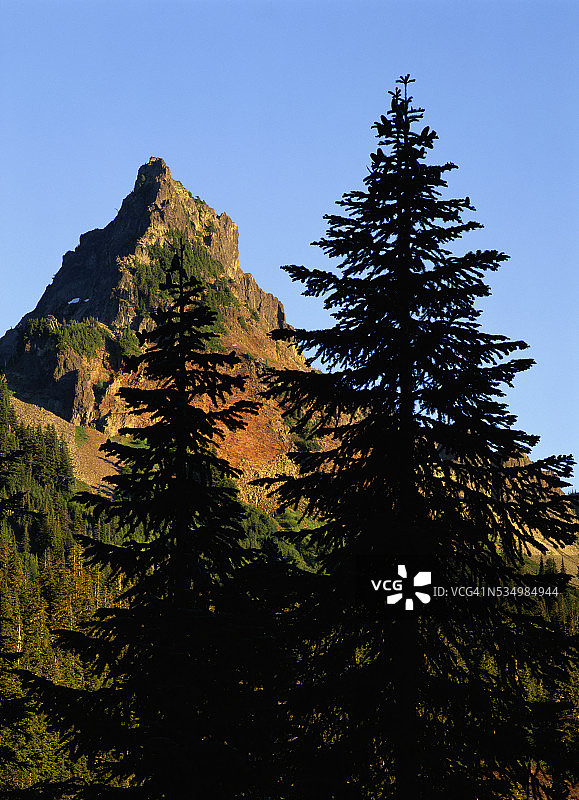 雷尼尔山国家公园的顶峰峰图片素材