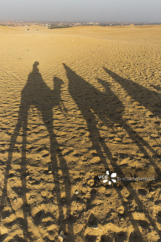 埃及开罗金字塔附近的骆驼骑行图片素材