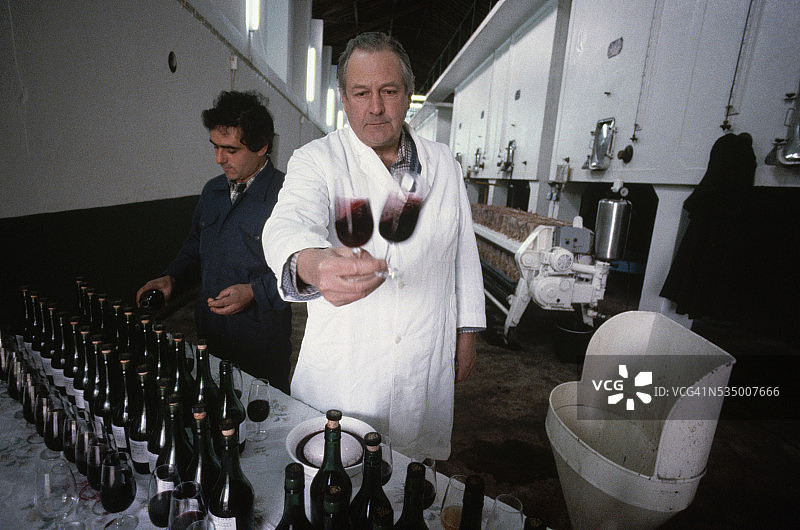 男人在波特酒庄品酒图片素材